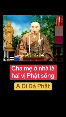 #nammoadidaphat #nammobonsuthichcamauniphat #nammodiatangvuongbotat #phapmonniemphat #laophapsutinhkhong #tinhkhongphapsu #phapmontinhdo #phatphapnhiemmau #tayphuongcuclac 