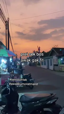 #fyp #4u #fypage #jombang24jam #ternosontek 