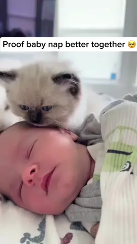 Cats and children are best friends.💕💕💕#usaus #funny #funnyvideos #petlover #foryou #kitten #cutebaby #cat #catsoftiktok 
