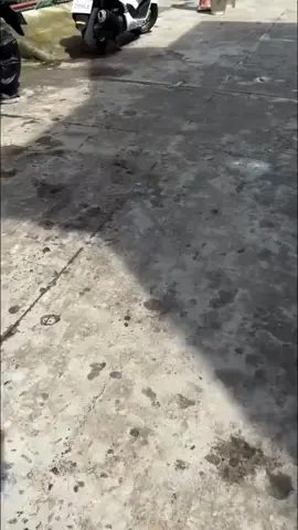 hoo..ulol! #malupiton #fyp #kolokoystvofficial #malupitonofficial #fyppppppppppppppppppppppp #highlight #viraltrend #trend #foryou 