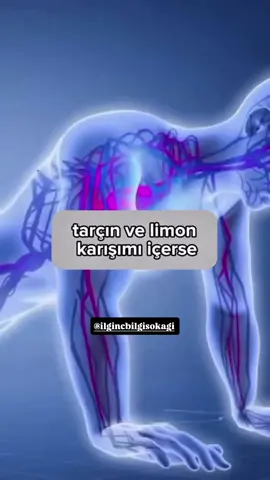 Siz ne düşünüyorsunuz bu konu hakkında ? için ; 🌕 @ilgincbilgisokagi 🌕 🌕 @ilgincbilgisokagi 🌕 🌕 @ilgincbilgisokagi 🌕 🌕 @ilgincbilgisokagi 🌕 🌕 @ilgincbilgisokagi 🌕 takipte kalın sağlıcakla kalın.  #fy#fyppppppppppppppppppppppp#fypage#fypp#fyppp#trend#keşfetteyiz #keşfett#keşfetedüş #tiktok#keşfetbeni#trendingvideo#trendingsong#video#videoviral#viralvideo#viraltiktok#viral_video#video#keşfet#keşfetteyizzz#keşfetbeniöneçıkar