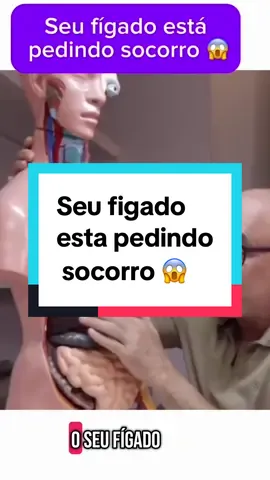 Seu fígado esta pedindo socorro! #dicas #saude #figado #esteatosehepatica #fyp 