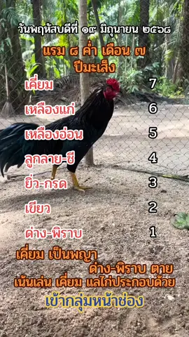 ตำราพ่อเฒ้า 19/6/68 #ตําราพ่อเฒ้า🐣🐓 #สีไก่ตามตํารา #สีไก่วันนี้ #ไก่เดือย #ไก่ใต้ #ไก่ใต้ไก่เดือย🐓💯 #อนุรักษ์ไก่ใต้🐓 #ไก่เดือยภาคใต้ #ฟีดดดシ 
