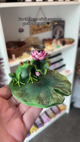 Animals and their symbolism hold such a special place with witches, be it admiring nature from afar, or loving your own familiar & companion 🖤✨   Respect nature 💚 respect the animals 💚  #goodkarma #animals #nature #allcreaturesgreatandsmall #familiar #familiars #witch #witchcraft #witchtok #magick #mothernature #frog #cat #small #cute 