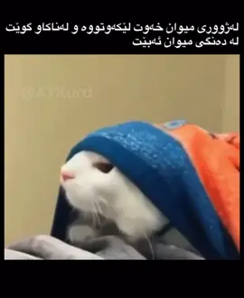 #sulaimani#hawler#karkuk#dhok#kalar#kwrd#comedi#pekanin#tiktok#foryou