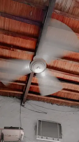 #okok #rajpootgroup109 #109 #mothrakh #cheata #