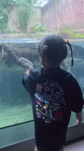 Celine sampai gak bisa membedakan mana papah mana buaya 🐊😂  #jangkauanluasfyp 