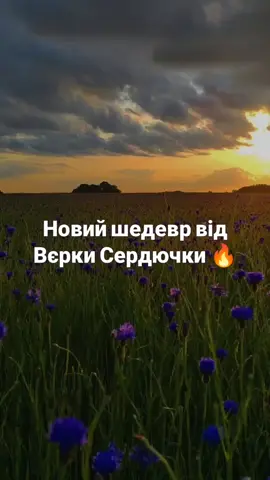 Пісня в Spotify плей-листі, посилання в профілі 🇺🇦#музика #ukrainemusic #українськіпісні #українськамузика #україна #ukraine 