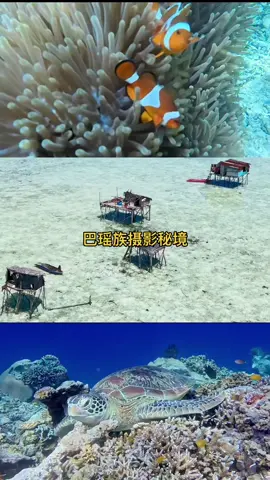 Bajau Laut 巴瑶族 | 因为有你们仙本那多了另一个美，仙本那海上巴瑶族摄影秘境❤️ 也感谢🇭🇰团友们捐赠的物资，你们太有❤️🫶🏻🫶🏻 #巴瑶族人的生活 #巴瑶族 #摄影团 #摄影 #仙本那 #游牧民族 #摄影创作 #摄影作品 #大海 #攝影 #旅游摄影 #少数民族 #borneo #bajaulaut #bajau #samabajau #semporna #sempornaphotography #bajaulautphotography #巴夭族