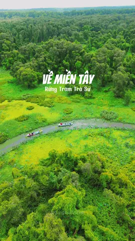 Một trong những điểm đáng tới nhất Miền Tây là Rừng Tràm Trà Sư của An Giang #travel #traveltiktok #dulichvietnam #travelvietnam #angiang #67angiang 