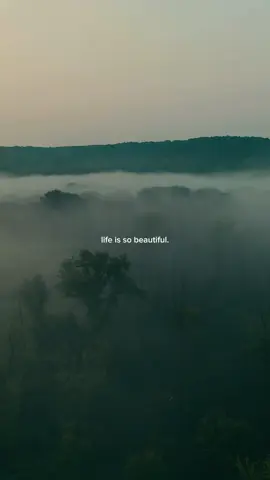 Enjoy your life,,, #for #foryou #foryoupage #life #lifeisbeautifull #enjoylife #peace #ambient #cinematic #positivevibes #positive #quotes 