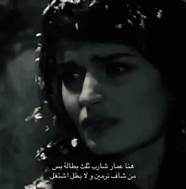 اني هم و لا بطل اشتغل عندي ! #عمار_كوسوفي #اغاني #العراق🇮🇶 #fypシ゚viral #اكسبلورexplore 