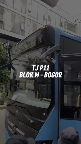 Semoga makin banyak jalur-jalur baru ya guys! ✨ #transjakarta #blokm #bogor #P11 