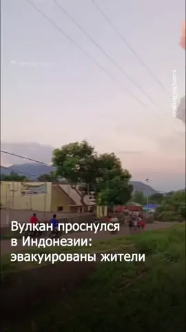 В Индонезии зафиксировано мощное извержение вулкана Левотоби Лаки-Лаки.  Власти повысили уровень тревоги до максимального и расширили зону эвакуации до 8 километров от кратера. Жители близлежащих деревень срочно покидают свои дома, отменены рейсы, включая перелёты на Бали и обратно. Пепел и обломки уже достигли нескольких населённых пунктов, а столбы дыма поднимаются на высоту до 10 километров. По предварительным данным, жертв и пострадавших нет.