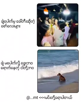 #viral #alightmotion #viwes #likes #မင်းတို့ပေးမှ❤ရမဲ့သူပါကွာ #ကျော်မသွားနဲ့အသဲပေးသွားနော် #viweတွေရှယ်ကျ  #fyp 