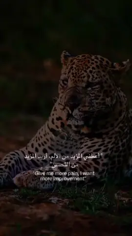 asmar / ألخال 