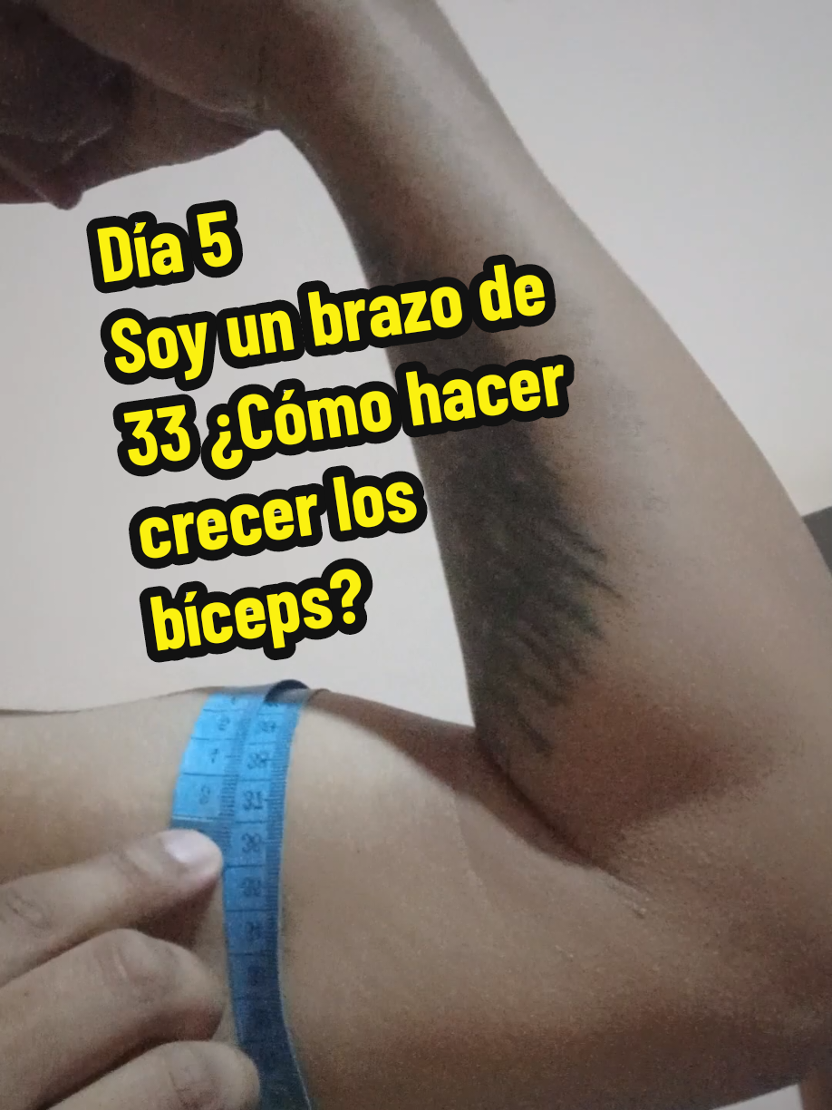 Soy un brazo de 33 cm y me pregunto ¿Cómo hacer crecer mis bíceps? Día 5 del reto de DOGOR a Máquina de la hipertrofia  #retorider  #disciplina #gym #riderestratega 
