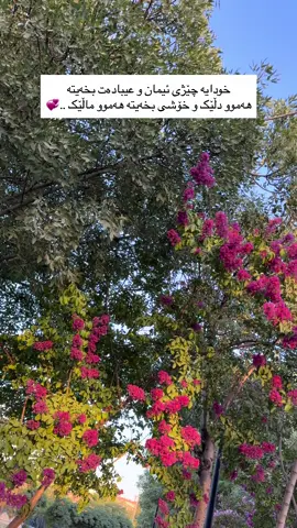 🤎🤎🤎🤎🤎🤎🤎🤎🤎🤎🤎🤎🤎🤎🤎🤎💞💞💞💞💞💞💞💞💞💞💞💞💞💞💞💞💞💞💞💞💞💞💞#ئیلاهی #اللهم_صلي_على_نبينا_محمد #الله_اكبر #الحمدالله_علی_کل_حال❤ #oops_alhamdulelah #سبحان_الله_وبحمده_سبحان_الله_العظيم #کتێب #خوێنەر #xwenar 