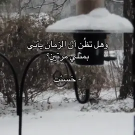 #fyp #حب #شعر #قصايد 