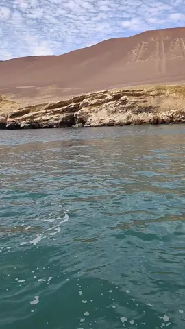 Hoy - Gloria Estefan Tengo tu amor y tu suerte Y un caminito empinado Tengo el mar del otro lado Tú eres mi norte y mi sur #paisajeshermososconmúsica #paisajesnaturalesconmúsica #música #paisajeaesthetic #tavi_sptia #paracasperu #letrasdecanciones #lyrics #hoygloriaestefan #tendencia 