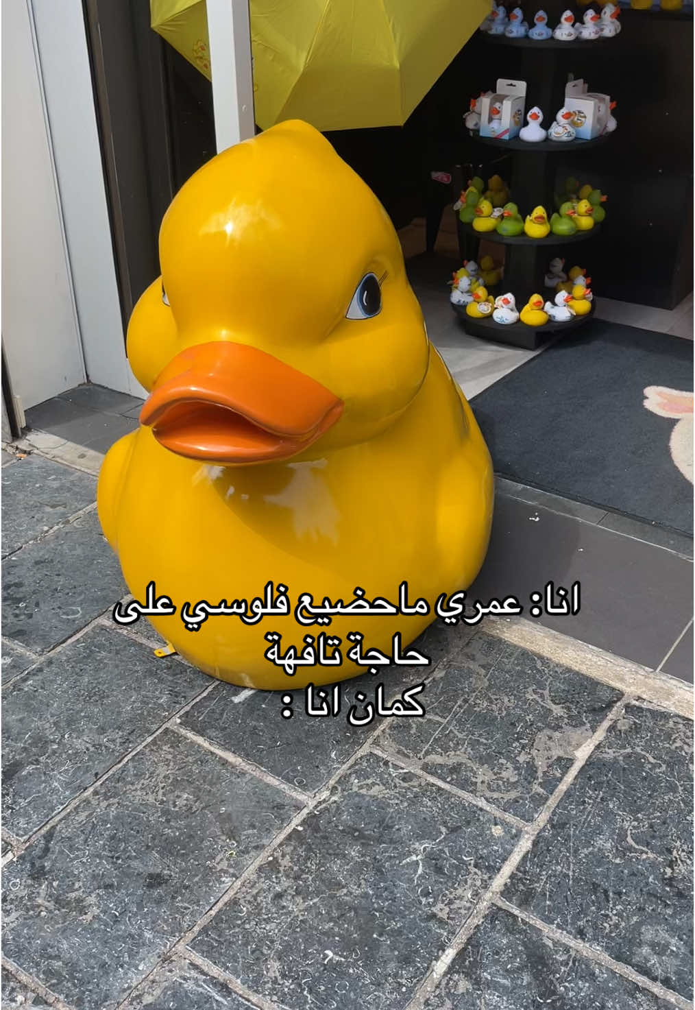 بط كويتش 🐥🥹 #fadiaat #اكسبلور #شباب #بنات #بط #الامارات #هولندا #سوريا #مصر🇪🇬 