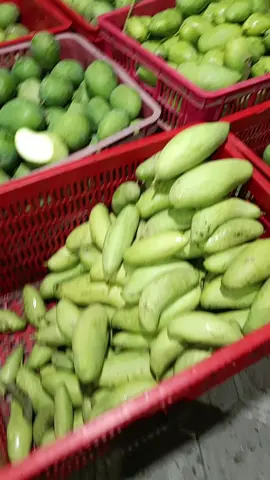 mangga muda kriuk yuk cek keranjang kuning  #rujakasem  #manggamentah #manggamuda 