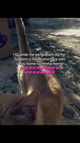 @🍀 ❤️‍🩹 #foruyou #dedicar #praela #teamo #amor #foryoupage #fyp #funny #detail #explore #us #you #romantic #loveyou #word #ttk 