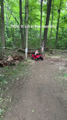 The life of a mother #fyp #fypシ #boys #toddlersoftiktok #jeeplife #woods #Outdoors #natureathome #nature #vibes #vibe #twins 