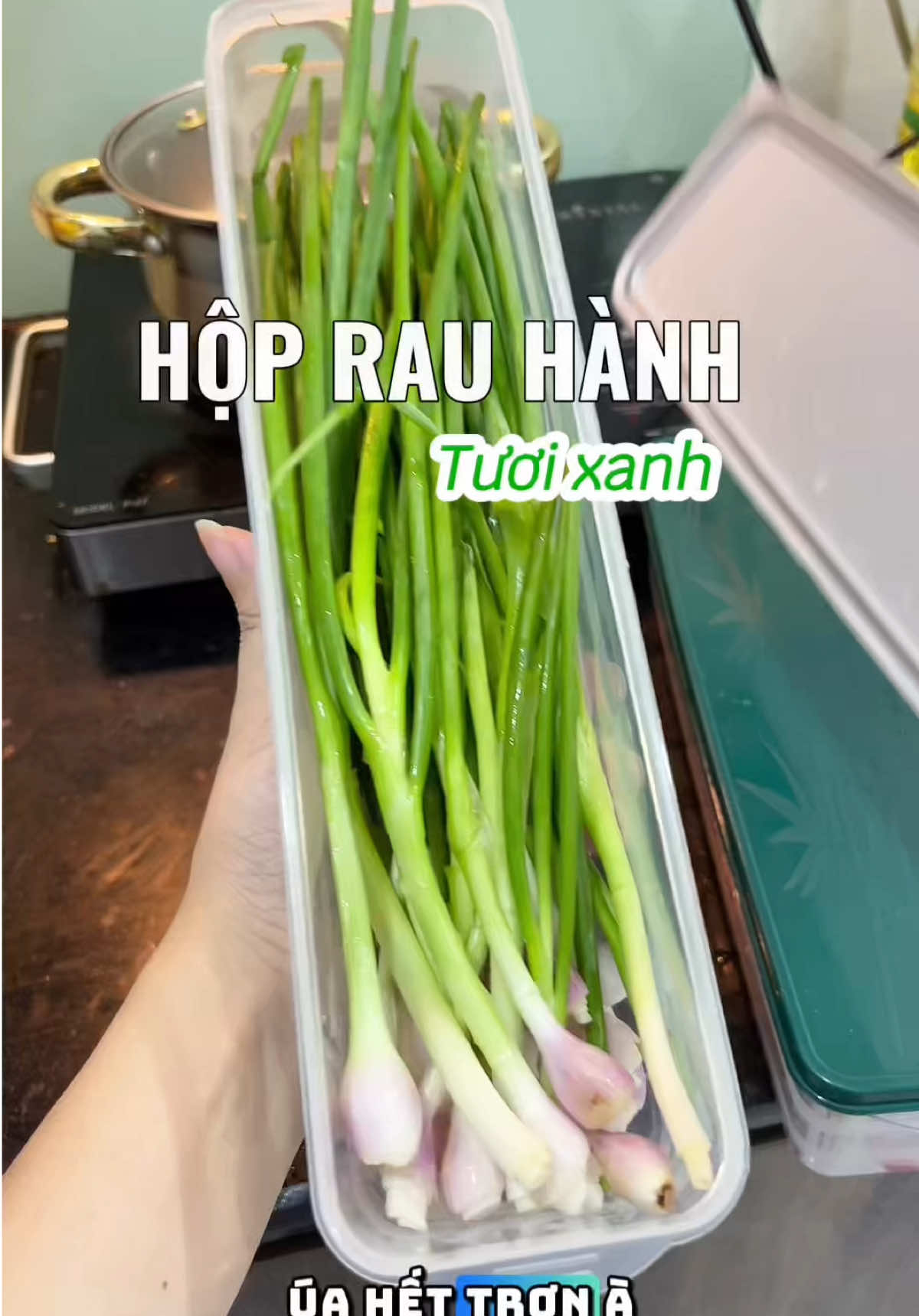 ✅ Quá là tiện gọn nha .  Bảo quản rau hành tươi lâu hơn 👍 #thaonguyenmommy #giadung #giadungthongminh #giadungtienich #review #koc #nhacuadoisong #hopnhuadungthucpham #hopnhuaconap