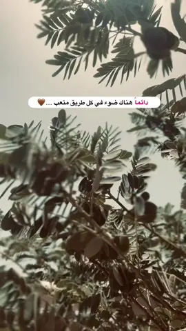 جزء 27 تفاعلكم حبايب 🤎#تصويري_احترافي_الاجواء👌🏻🕊😴 #متابعه_ولايك_واكسبلور_احبكم #تصوري📸 #fyp #قناتي_تليجرام_بالبايو💕🦋 