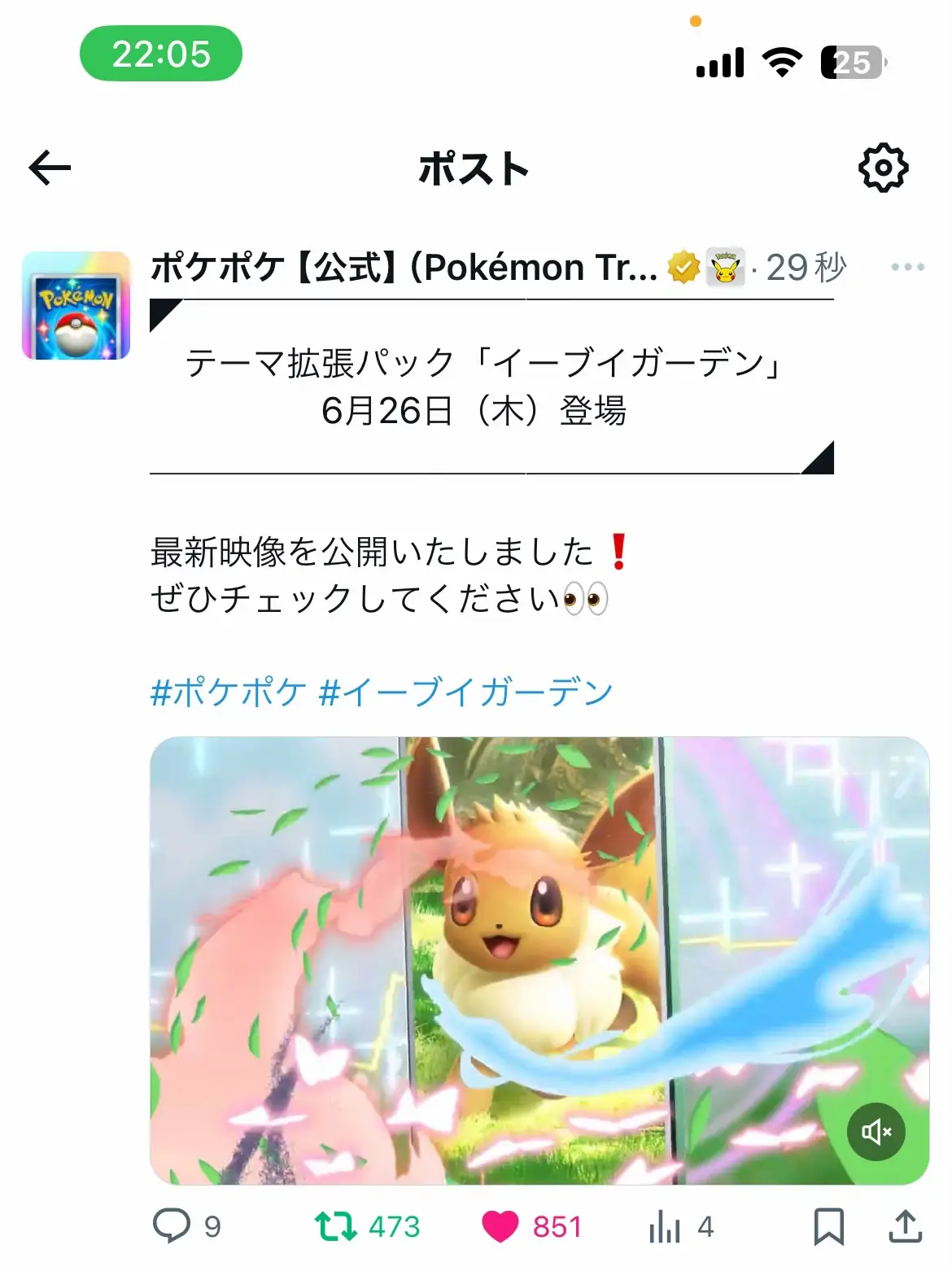 最高やんけ#ポケポケ #イーブイガーデン #fyp 