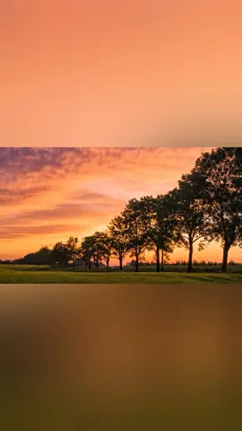 #တော်ပြီနောက်  #နောနော် #foryoupage 