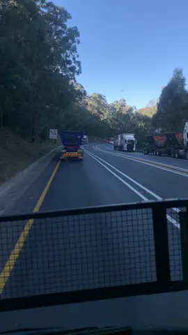 😄😄😄Downhill #fyp #vanreenen #trucks #downhill 