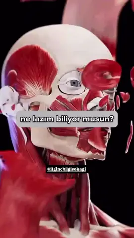 Siz ne düşünüyorsunuz bu konu hakkında ? için ; 🌕 @ilgincbilgisokagi 🌕 🌕 @ilgincbilgisokagi 🌕 🌕 @ilgincbilgisokagi 🌕 🌕 @ilgincbilgisokagi 🌕 🌕 @ilgincbilgisokagi 🌕 takipte kalın sağlıcakla kalın.  #fy#fyppppppppppppppppppppppp#fypage#fypp#fyppp#trend#keşfetteyiz #keşfett#keşfetedüş #tiktok#keşfetbeni#trendingvideo#trendingsong#video#videoviral#viralvideo#viraltiktok#viral_video#video#keşfet#keşfetteyizzz#keşfetbeniöneçıkar