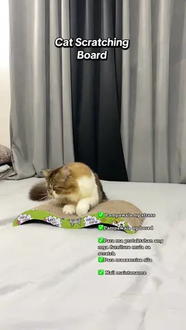 Safe na safe din mga sofa niyo nito from scatch dahil dito na nilalabas ng alaga niyo ang kanilang mga gigil! 😍#catscratchingboard #catscratcher #catscratchercardboard #cattoy #catfurniture #catlover #cataccessories #pettok 