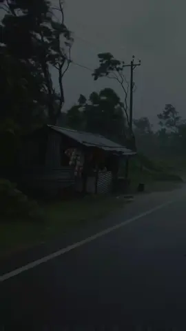 Vibe is awesome but life? #creatorsearchinsights #vibe #old #serenasea #nostalgia #memories #greeny #fyp #viral #dark #srilanka #foryou #foryoupage #nature #life #travel #village #srilankan #aigenerated 