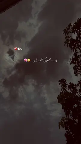 Wallah ...!👀❤️‍🩹🤌🏻#asthetic #grow #account #foryou #foryoupage #poetry #poetrystatus #1millionaudition #yousaf_vibes1 