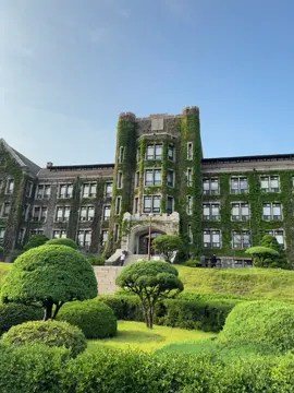 ня оппа щибаль #yonsei #yonseiuniversity #korea #fyp #recommendations 
