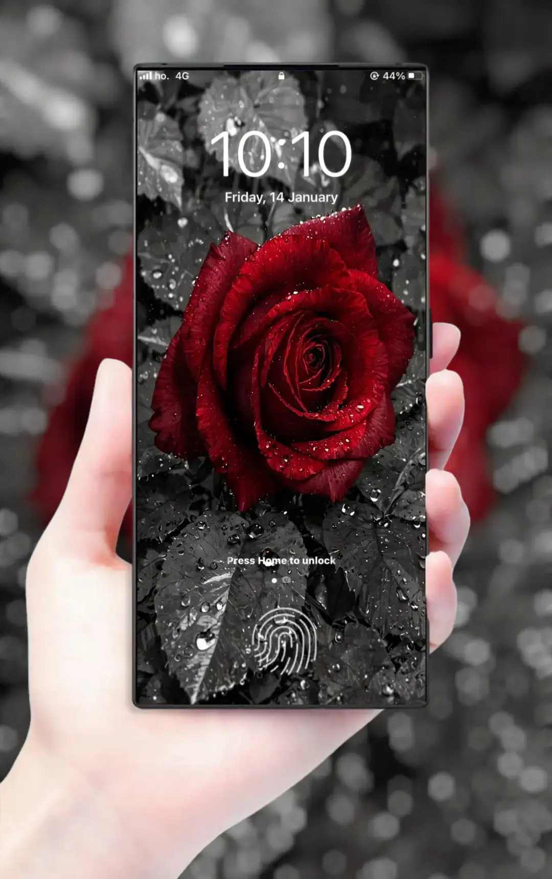 4K ultra mobile sacren wallpaper 🥀💐#wallpaper #8kwallpaper #4kwallpaper #hd #sound #edit #wallpaper #foryoupage❤️❤️ #viral_video #1M #for #8kwallpapers🔥 #1mviews #hdwallpapers #foryou