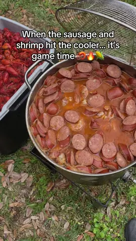 Can’t forget the real crowd-pleasers — sausage and shrimp straight from the pot, right on top of that spicy crawfish mountain. This is how we do it in Texas. Feed the fam. Feed the soul. #crawfishboil #texasbbq #southerncooking #dadlife #foodiecontent #shrimpboil #houstonfoodie #familyfeast #culinariabrasileira #comidacaseira 