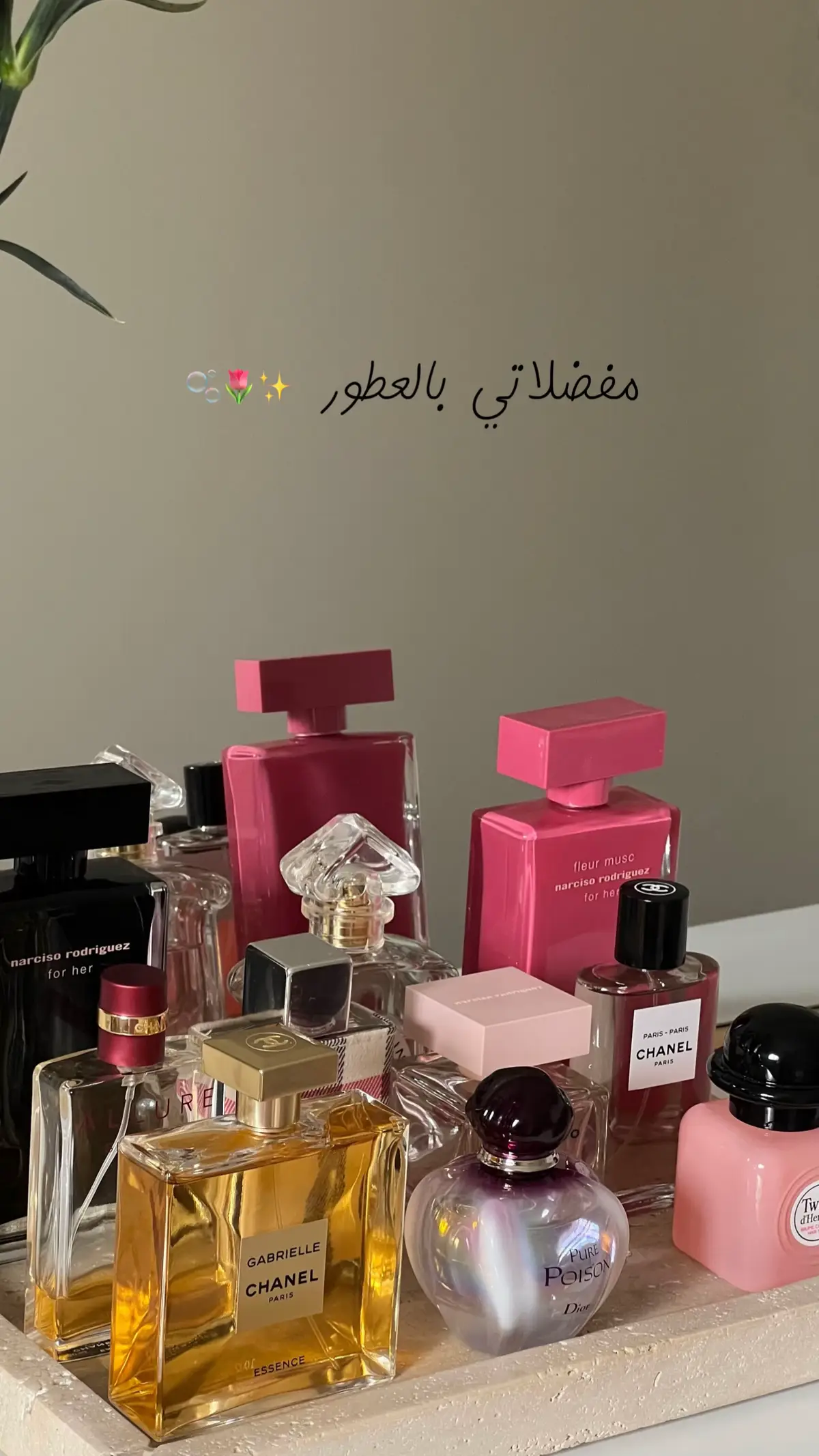 #fyp #foryou #4u #perfumereview #smellgood #dior #chanel #gurlain #Narciso #perfumeaddict 
