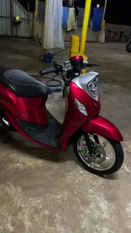 เวทอย่างหมูสู้ใครไม่ได้หรอก😁#หมูกัดกัน💥 #finoดิวะ #fino125modif #fypシ゚viral 