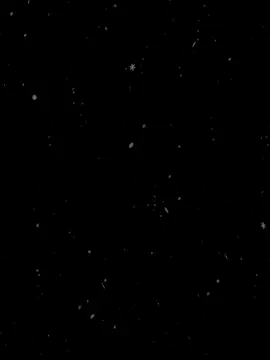 #غاني_مسرعه💥 #العراق #اكسبلور #احبكم_يا_احلى_متابعين #السعودية #تصميم_فيديوهات🎶🎤🎬 #اغاني_عراقيه_مسرعه💥🎧 #مالي_خلق_احط_هاشتاقات 