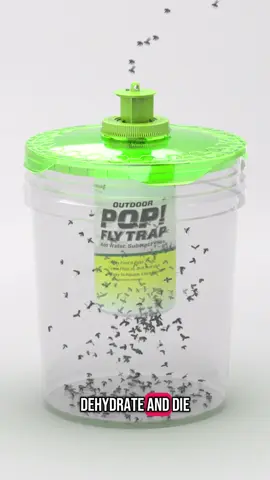 A lesson about the importance of hydration. #PestControl #FlyTrap #BucketTrap #FlyBucketTop