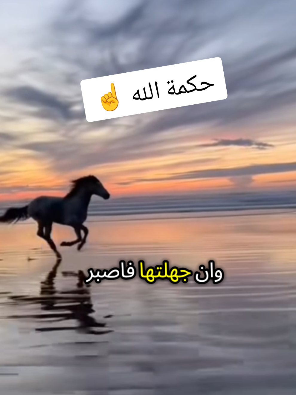 عسي ربنا أن يبدلنا خيراً منها... ☝️ #اقتباسات #خواطر #معلومات #حكم #خير 