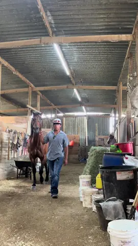 Original audio kept getting deleted 😡#horses #caballos #htx #ranchlife #fyp 