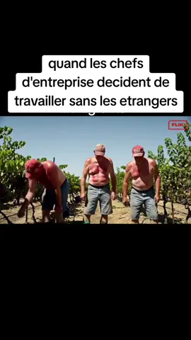 #CapCut 