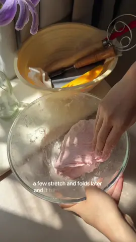 I used to think sourdough was just supposed to be messy and chaotic—turns out, I just didn’t have the right tools. This kit changed how I bake and how I feel when I do it. Everything’s smoother, cleaner, and just makes sense now. 💗#sourdoughbread #sourdoughforbeginners #sourdoughtok #sourdoughbreadkit #howtomakesourdough #sourdoughstarter #sourdoughtools #sourdoughera 