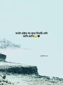 কতটা চেষ্টার পর ছেড়ে দিয়েছি সেটা আমি জানি!😌🖤 @TikTok Bangladesh #foryou #idfreezz🙏🙏 #bdtiktok #foryouplz #viral #evu #foryoupage 