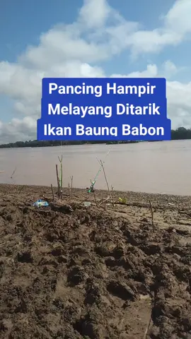 #umpankucurampuh #mancing #umpankucurbaung #umpankucur #mancingbaung  #mancingikanbaung 
